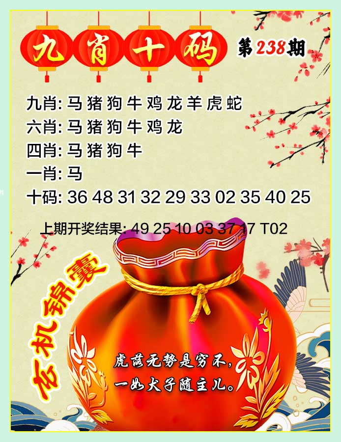 九肖十码