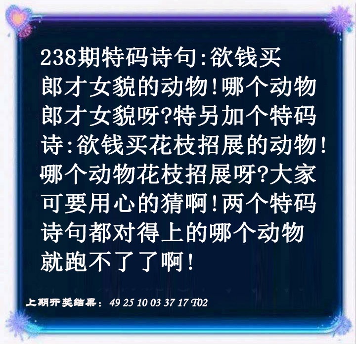 澳门欲钱料